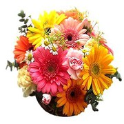 Send New Year Gifts Cakes and Flowers to Jamshedpur