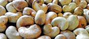 for sale cashew nuts