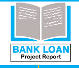 Bank Loan Project Report
