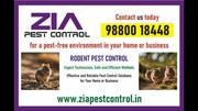 Zia Pest Control | Rodent Control | Affordable price | Pest service |